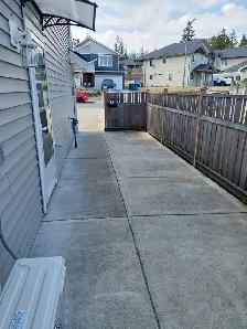 2 bedroom suite available - Photo 10
