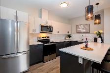 1 and 2 Bed UNITS AVAILABLE FOR 1 MONTH FREE! - Photo 3