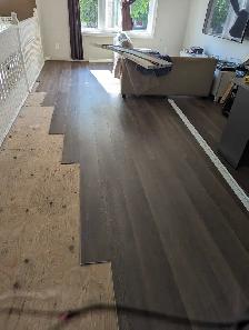 home Renovation - Photo 3