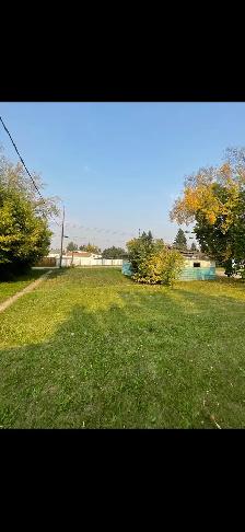 4 Bed 1 Bath House In Viking Alberta - Photo 2
