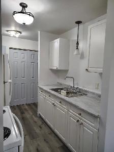 Napanee 2 Bedroom - Photo 9