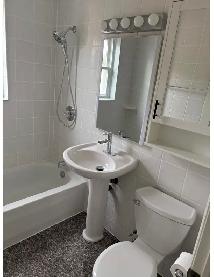 RENOVATED 2- bedroom apartment, 900 SQ FT, RIVERSIDE DR, SWANSEA - Photo 4