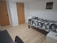 Chambre à louer à Lévis pour étudiant ou travailleur - Photo 2