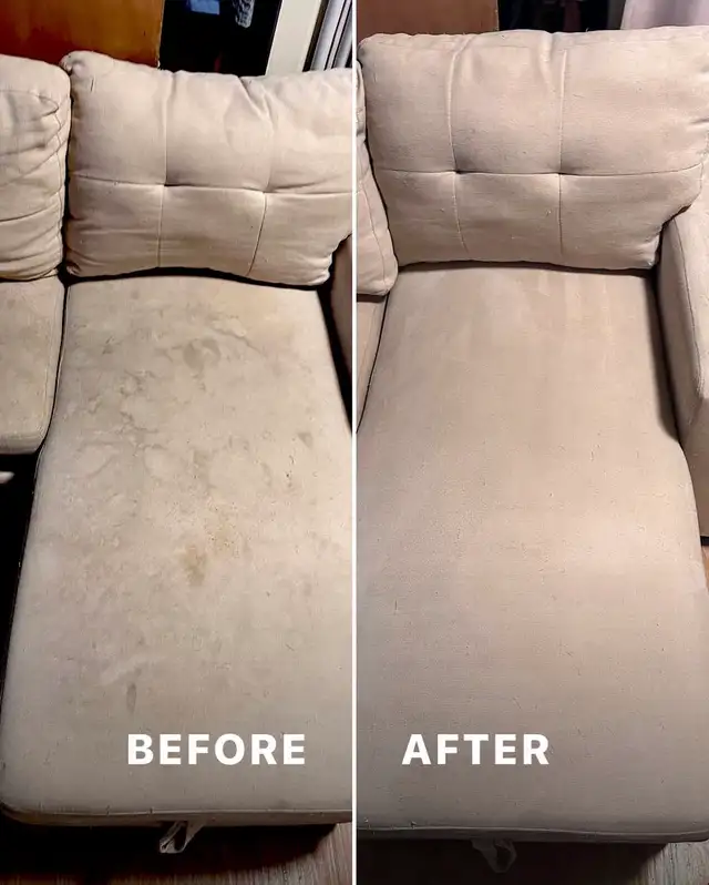 couch and carpet cleaning services