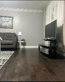 commercial snd residential cleaning