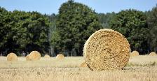 ISO Straw Bales