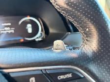 2021 Hyundai Palisade Ultimate Calligraphy NAVIGATION BACKUP CAM - Photo 20