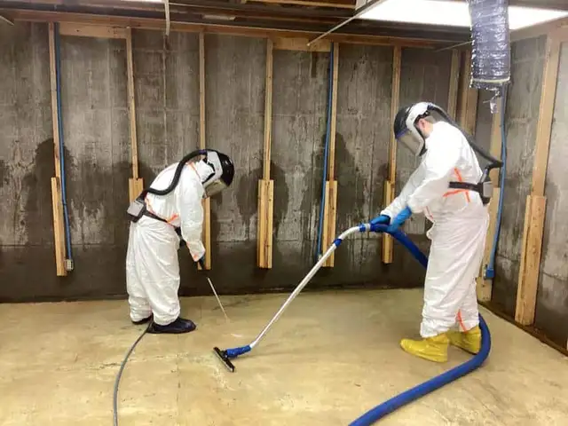 NOW HIRING- RESTORATION PROFESSIONALS