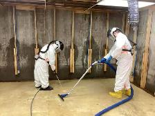 NOW HIRING- RESTORATION PROFESSIONALS