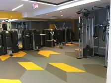 1 Bed Condo, Yonge and Eglinton, 5 minutes walk to subway - Photo 9