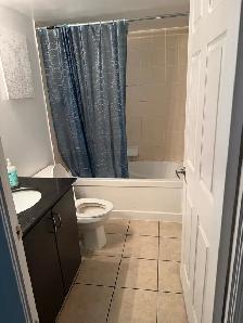 Bright 1 Bedroom   Den Condo in Entertainment District, Toronto - Photo 4