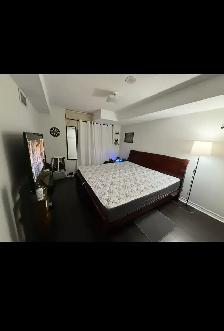 Bright 1 Bedroom   Den Condo in Entertainment District, Toronto - Photo 5
