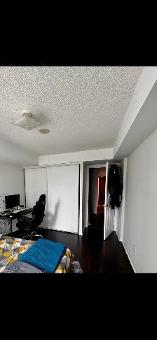 Bright 1 Bedroom   Den Condo in Entertainment District, Toronto - Photo 7