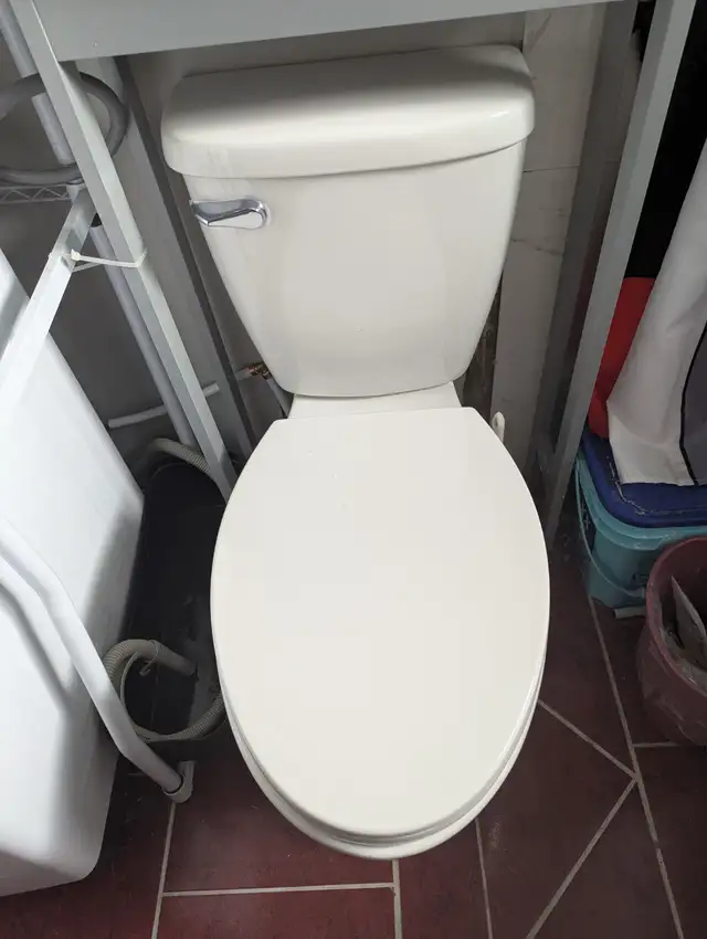 Toilette allongé