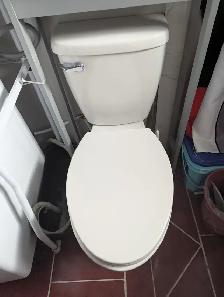 Toilette allongé