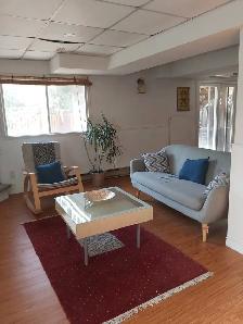 BASEMENT FOR RENT - Photo 15
