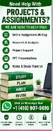 Assignment Guidance | Homework & Online Course Support