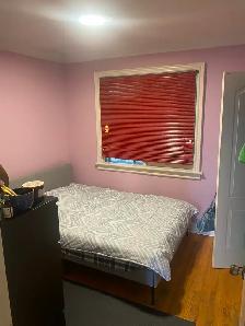 Oct 1: Female Roommate wanted: Davenport & Dufferin - Photo 2