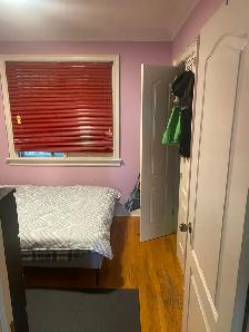 Oct 1: Female Roommate wanted: Davenport & Dufferin - Photo 3