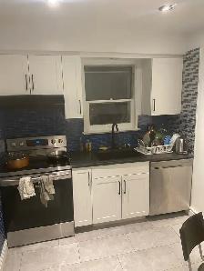 Oct 1: Female Roommate wanted: Davenport & Dufferin - Photo 4