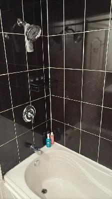 Oct 1: Female Roommate wanted: Davenport & Dufferin - Photo 6