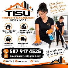 cleaning services