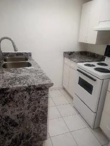 Separate entrance, very clean and near Apartment available - Photo 2