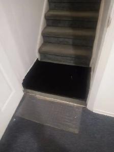 Separate entrance, very clean and near Apartment available - Photo 5