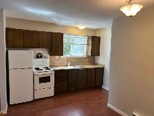 Bowmanville Apartment - Photo 5