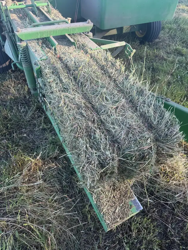 shedded first cut square bales