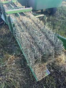 shedded first cut square bales