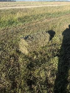 shedded first cut square bales - Photo 4