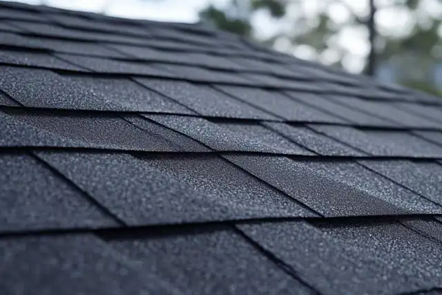 Shingles replacement of 2650 sq ft roof