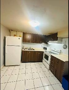 basement apartment - Photo 4