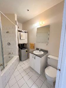 2 1/2 Metro Papineau Montréal Appartment avec électro - Photo 5