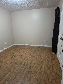 7 Bedrooms Available - Photo 7