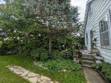 Charming House For Rent - Availalbe November. - Photo 3