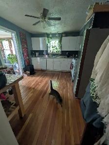Charming House For Rent - Availalbe November. - Photo 6