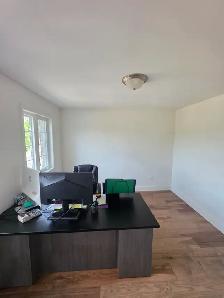Painter with 16 years experience offering services - Photo 5