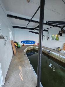 Painter with 16 years experience offering services - Photo 9