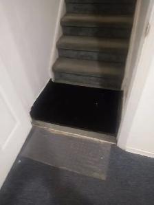 Separate entrance, very clean and near Apartment available - Photo 4