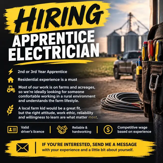 2nd/3rd year apprentice electrician