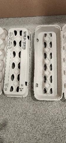 Dozen Size Egg Cartons in New Condition - $50 per 100 Pulp 12s - Photo 3