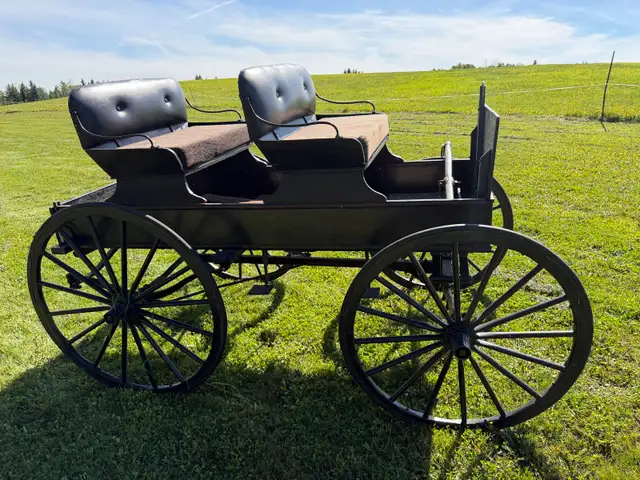 Horse Drawn Buggy