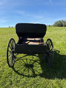 Horse Drawn Buggy - Photo 4