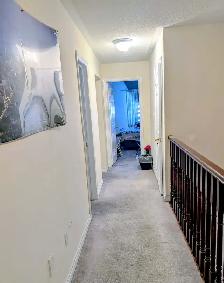 Independent Room for rent near Derry / Mclaughlin - Photo 4