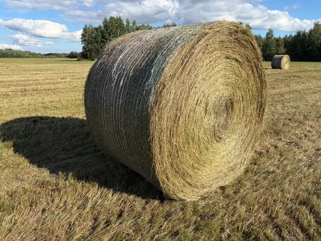 native grass hay