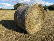 native grass hay