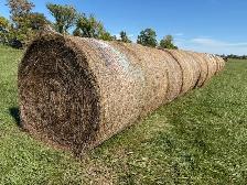 native grass hay - Photo 3