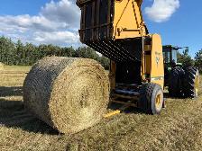native grass hay - Photo 4